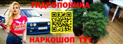 стафф Кулебаки