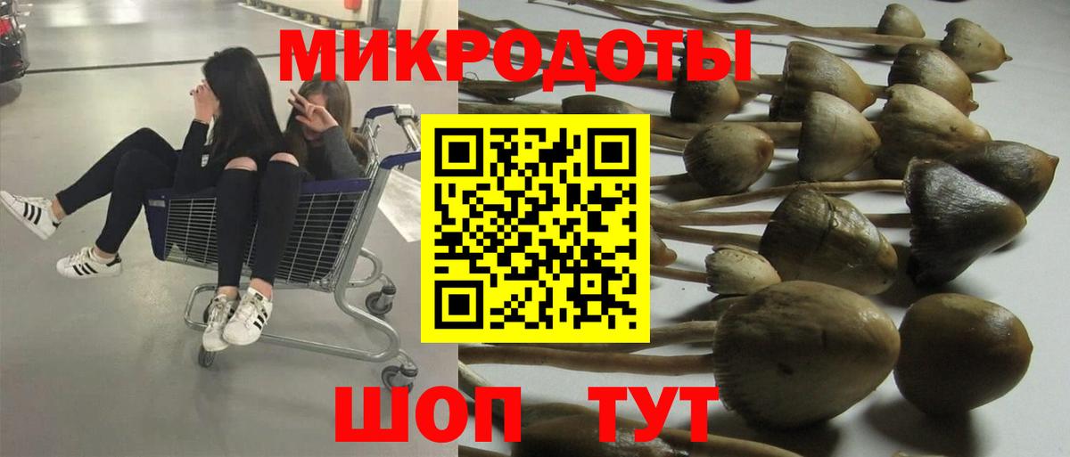 Галлюциногенные грибы Cubensis  Галлюциногенные грибы Psilocybine cubensis  Карачаевск  Вход с VPN 